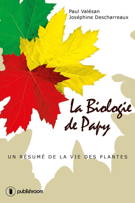 media/pim/2_ae112845-276c-4fc0-85e6-906253488589.jpeg