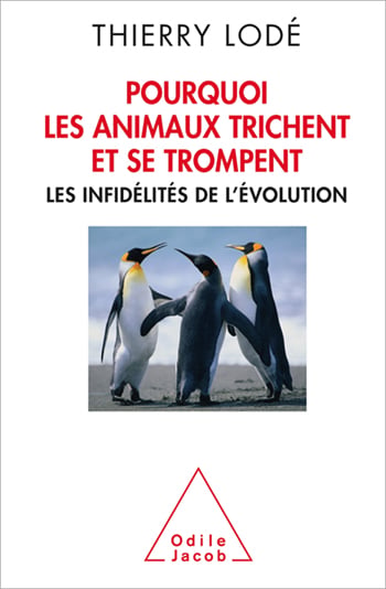 media/pim/2_metadata-image-35089025.jpeg