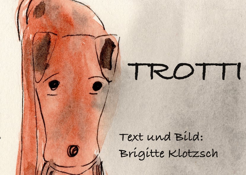 media/pim/2_metadata-image-40147736.jpeg