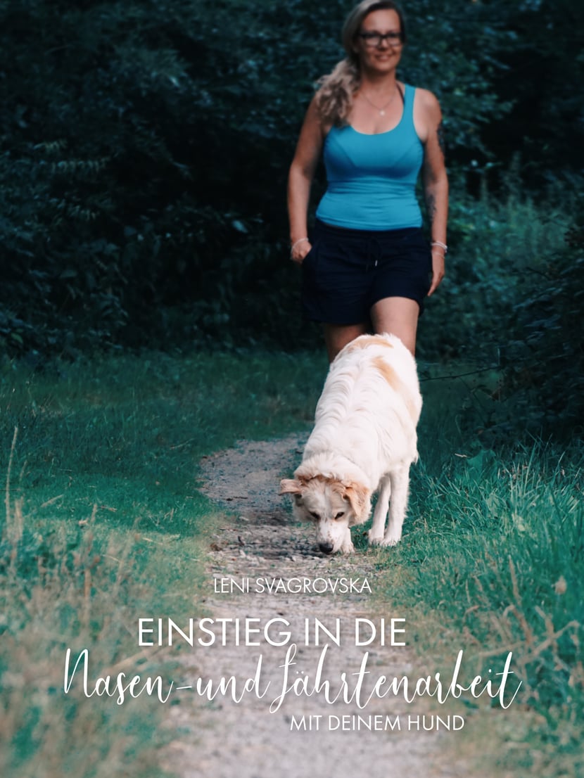 media/pim/2_metadata-image-71040313.jpeg