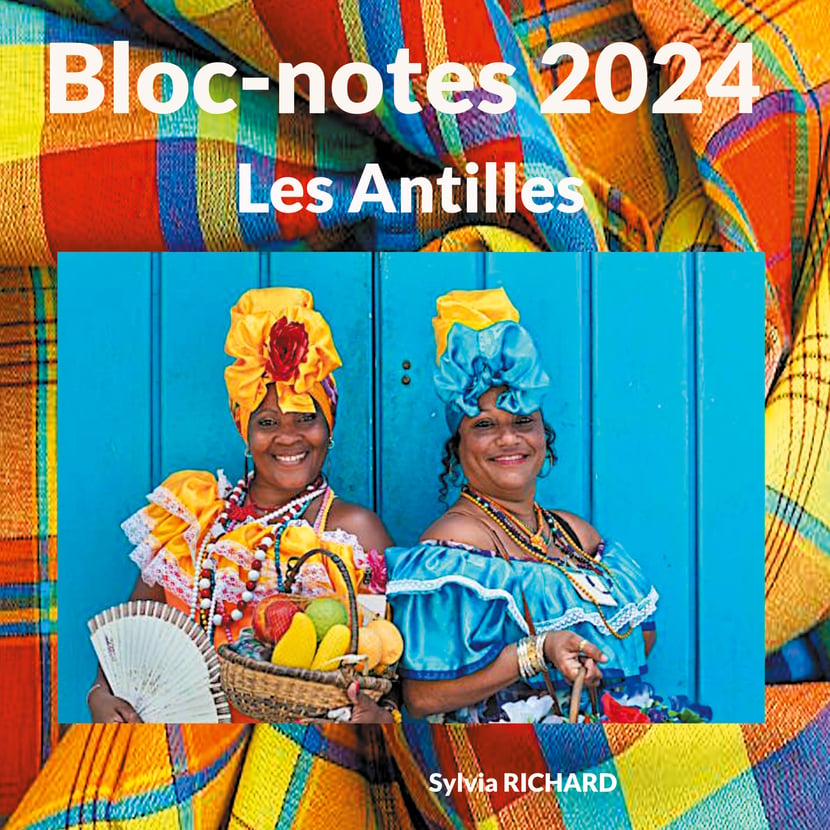 Notes Olympiques - Bloc-notes: Gardez-le en souvenir des Jeux Olympiques de  2024! (French Edition)
