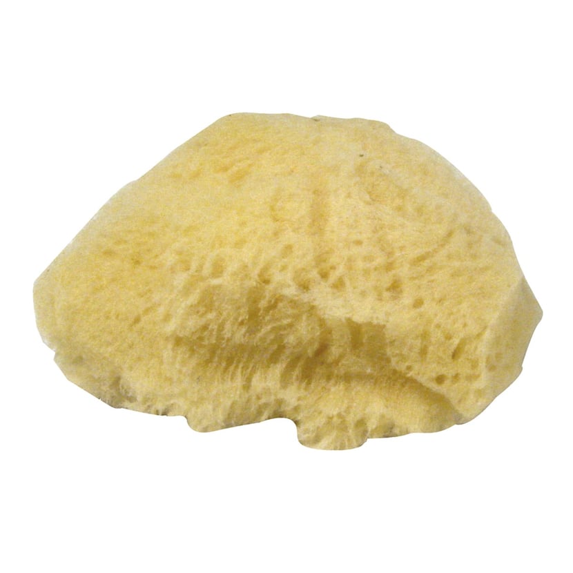 media/pim/3-eponges-natur-6-7-5cm-4006166150616_0.jpg