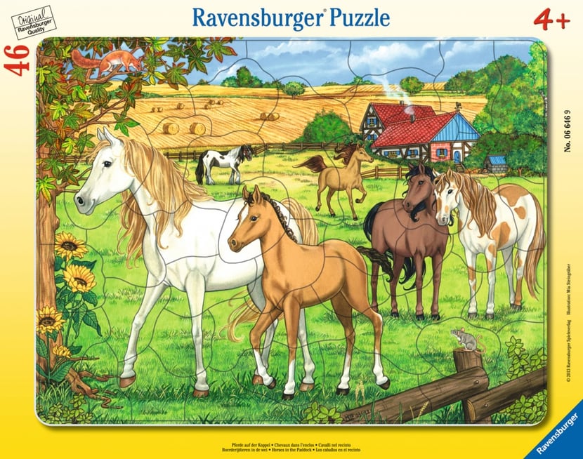 media/pim/30-48-p-chevaux-dans-l-enclos-4005556066469_0.JPG