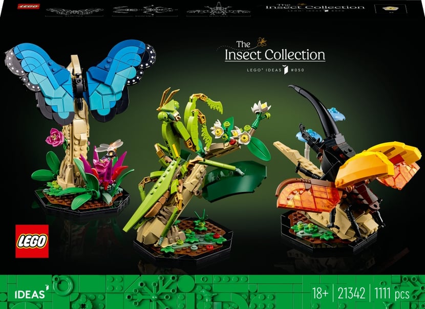 Papillon à ailes d'oiseau - Puzzle 3D Collection Insectes - DIY