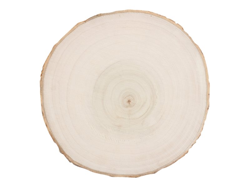 Tampon rondin de bois écorces d'arbre
