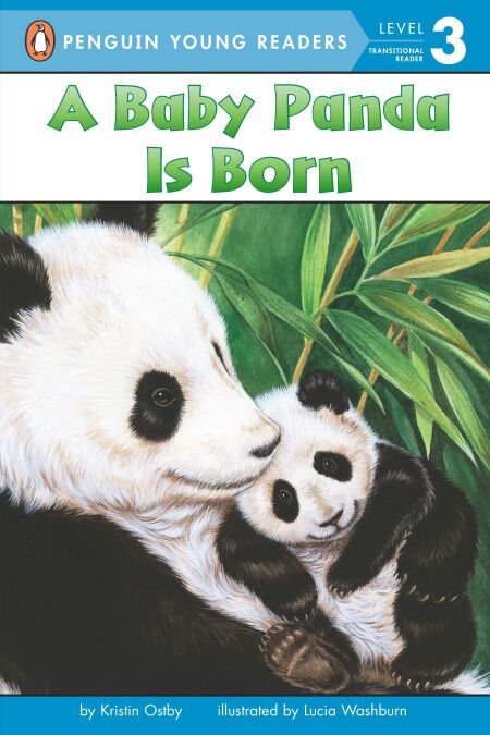 media/pim/30_5d151645-8476-49c1-836b-4203642bd1e7.jpeg