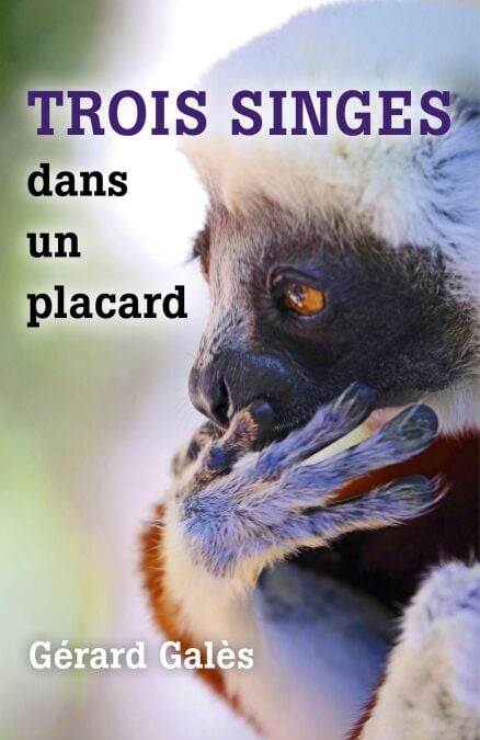 media/pim/30_801345e2-7cd5-46fd-9a83-61bd4c832cd8.jpeg