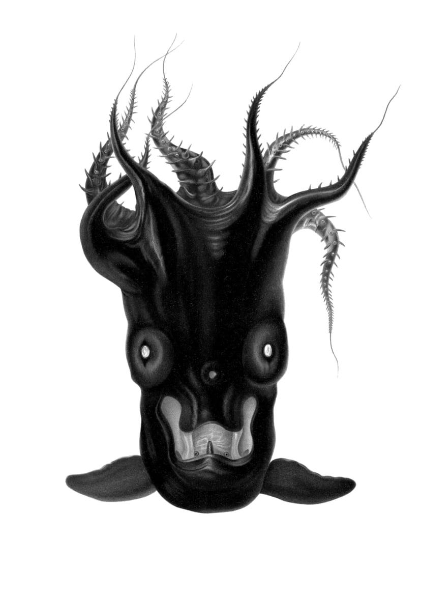 media/pim/30_metadata-image-45492582.png