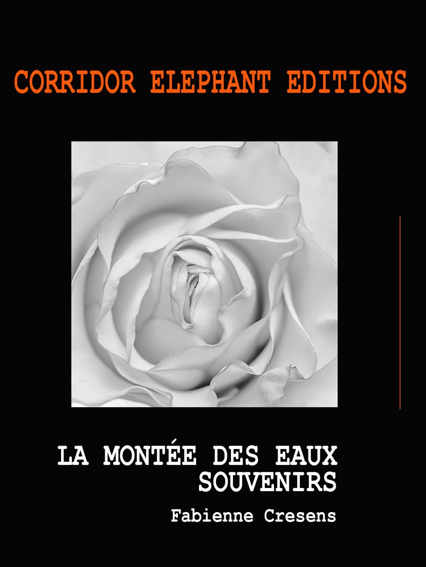 media/pim/30_metadata-image-614795.png