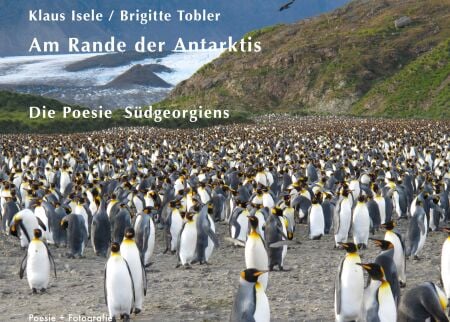 media/pim/30_metadata-image-65445251.jpeg