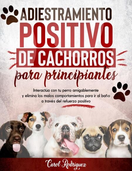 media/pim/31_1497de21-f31d-4ca4-9a16-94143e3cadc8.jpeg