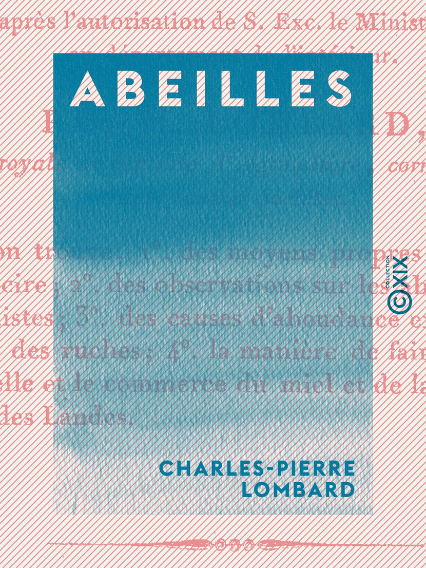 media/pim/31_metadata-image-13092702.png