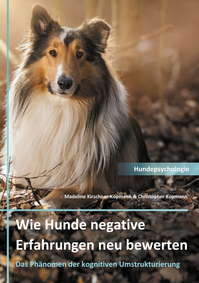 media/pim/31_metadata-image-48940916.jpeg