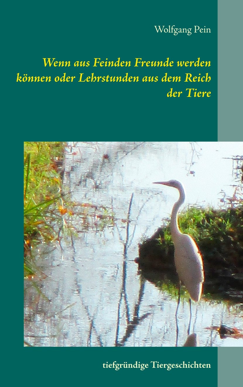 media/pim/31_metadata-image-70978551.jpeg