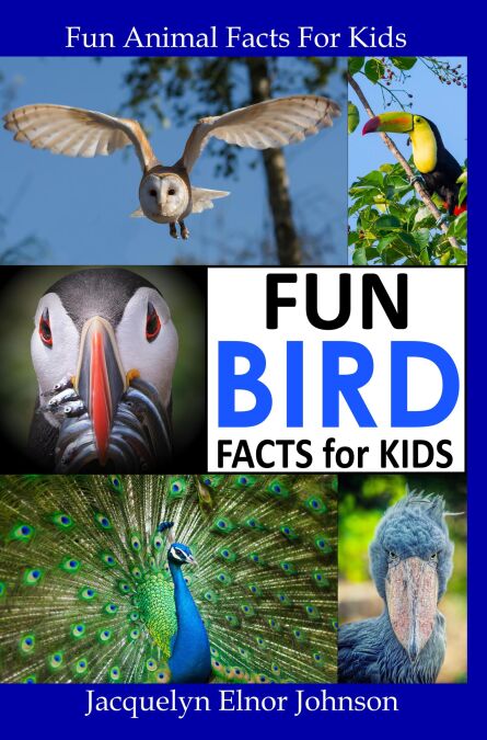 media/pim/32_5b5d149d-6393-4dae-8fb5-701d9baceaed.jpeg