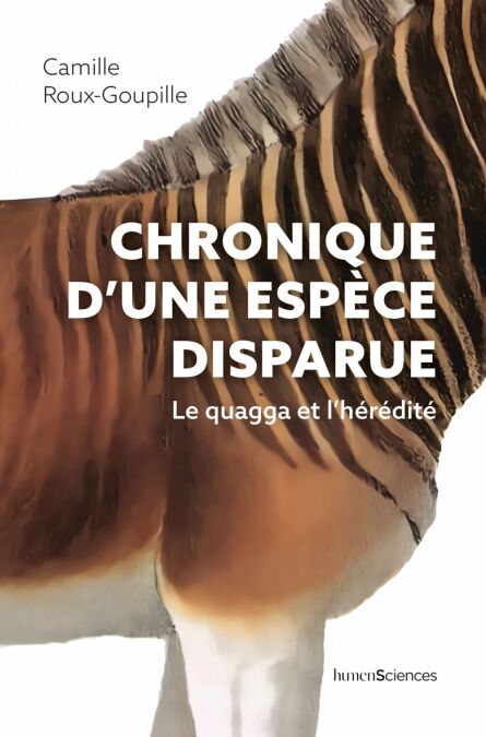 media/pim/33_397d38fb-684d-4188-900c-53588fa0ffba.jpeg
