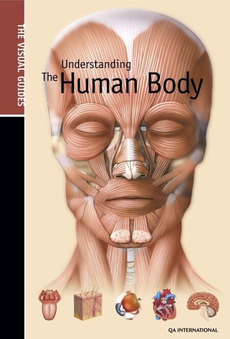 media/pim/33_3b0f4ca4-457b-417b-9840-1af458bfbd4a.jpeg