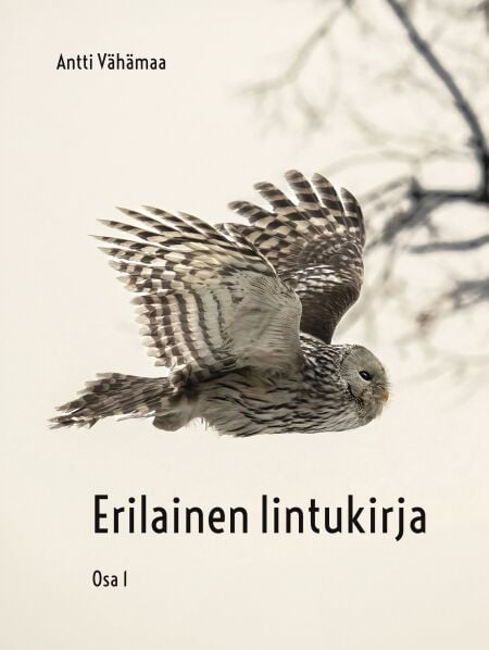 media/pim/33_cb2872fb-6cb6-455e-be6d-3da4b40f38c7.jpeg