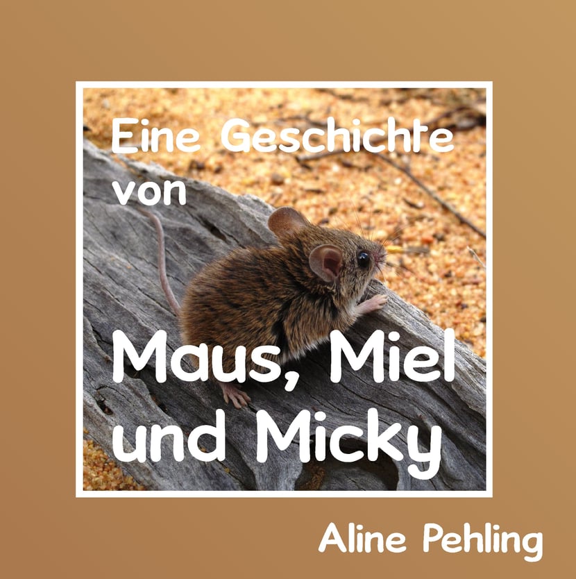 media/pim/33_metadata-image-70970179.jpeg