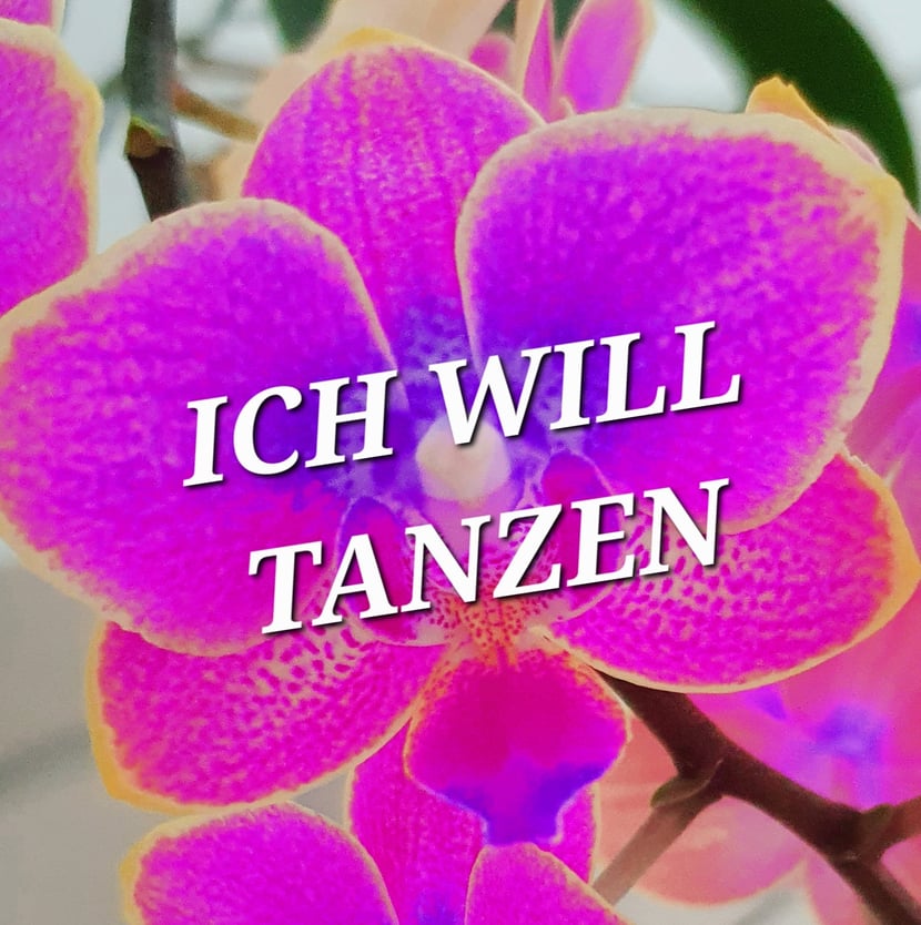 media/pim/33_metadata-image-71037964.jpeg