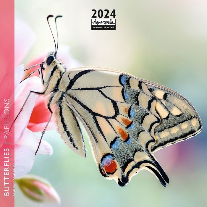 Calendrier mensuel 2024 Aquarupella Prestige Patagonie - 30 x 30