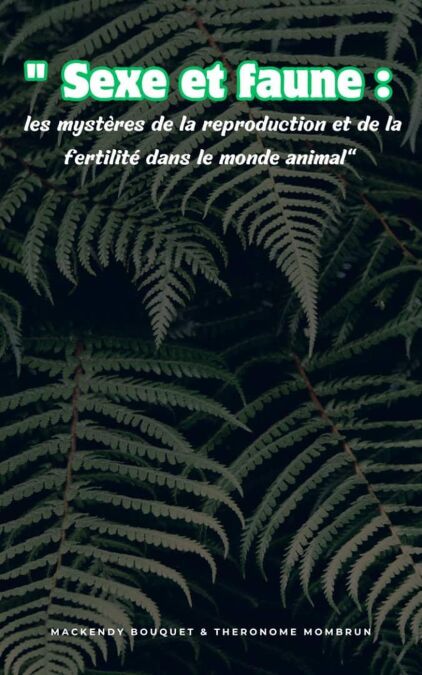 media/pim/34_e2058775-d557-41ce-bf2c-c5c92c12cbc6.jpeg