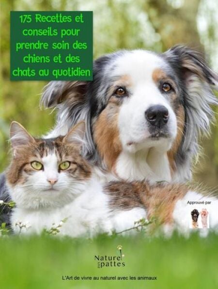 media/pim/34_metadata-image-58387004.jpeg