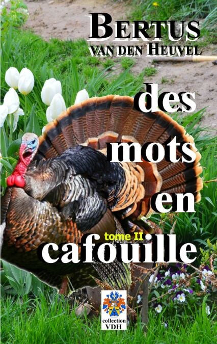 media/pim/34_metadata-image-70908897.jpeg