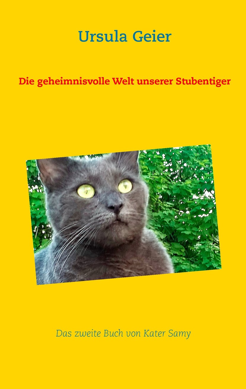media/pim/34_metadata-image-70969792.jpeg