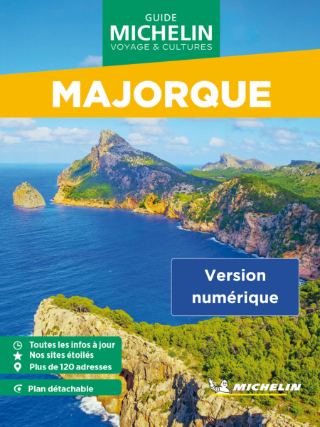 media/pim/35_ac6a2549-cb12-4468-a13b-9da31b26ea72.jpeg