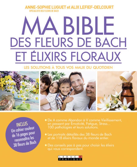 media/pim/35_d3d858c5-a676-4480-8fc3-db6f716c9aef.jpeg