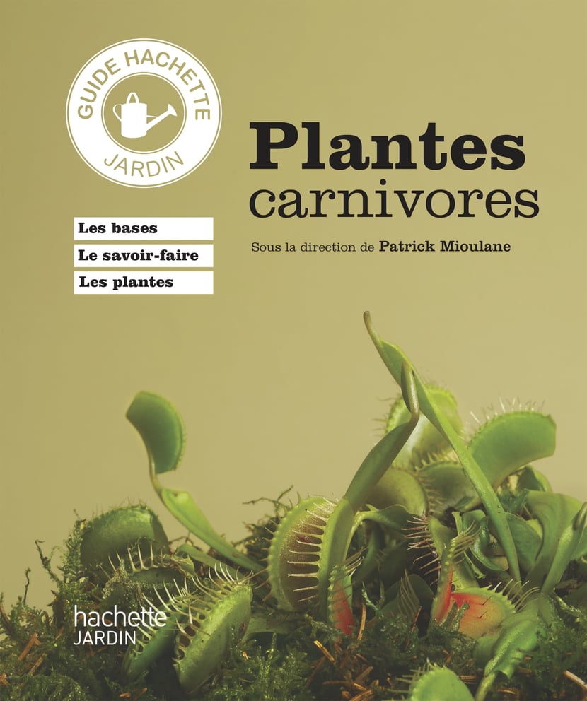 Plante carnivore : biographie et actualités - Sciences et Avenir