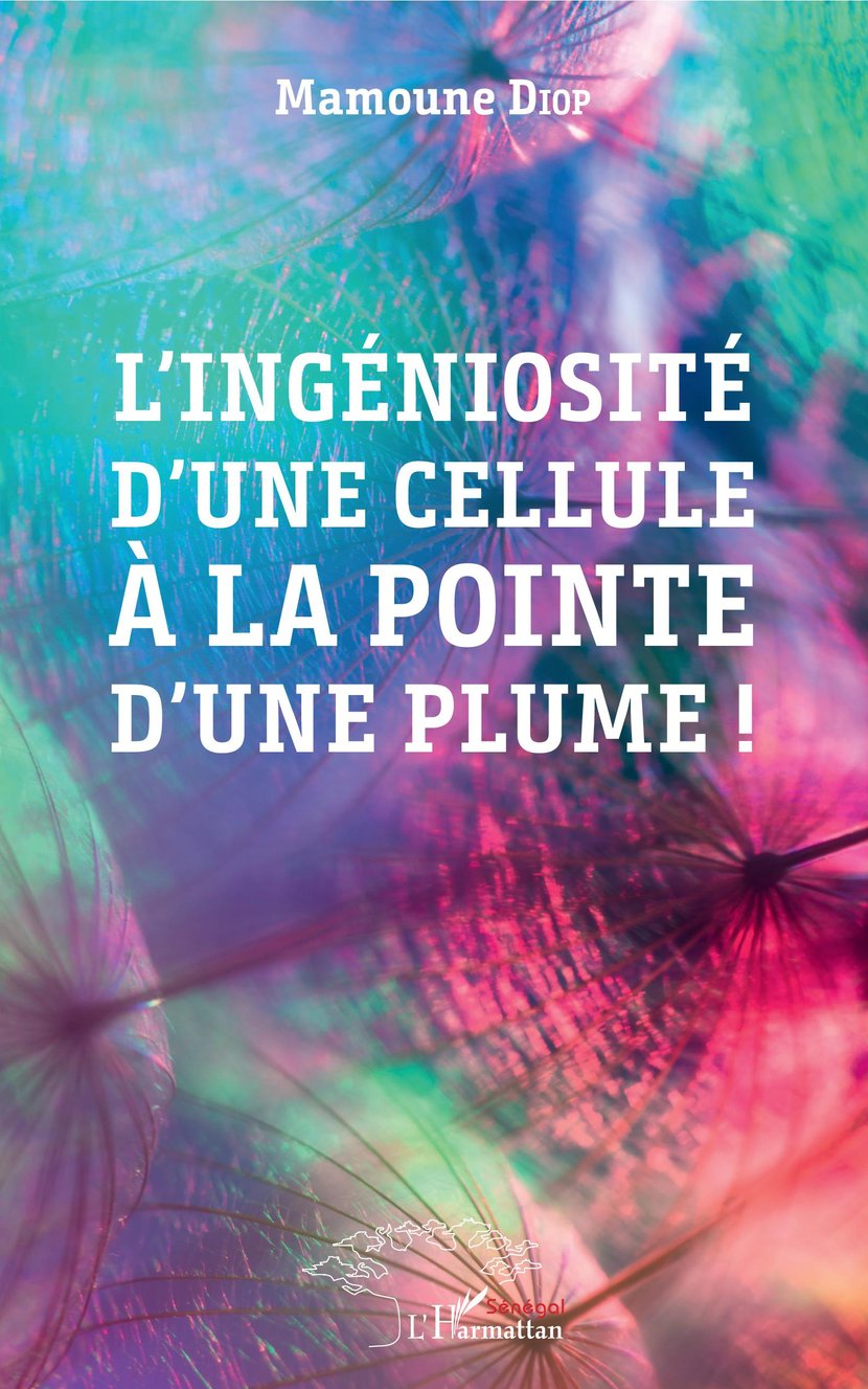 media/pim/35_metadata-image-33784092.jpeg