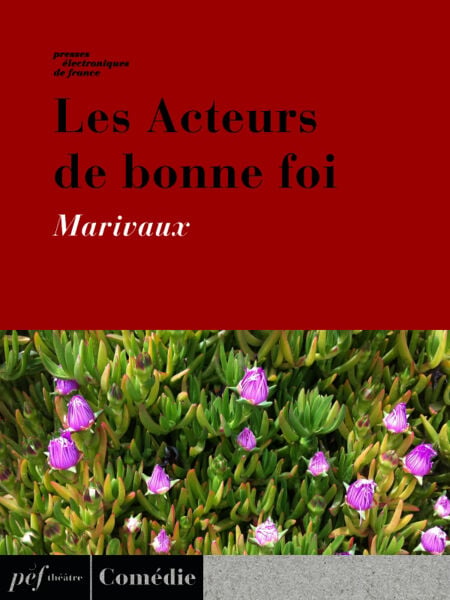 media/pim/35_metadata-image-66973337.jpeg