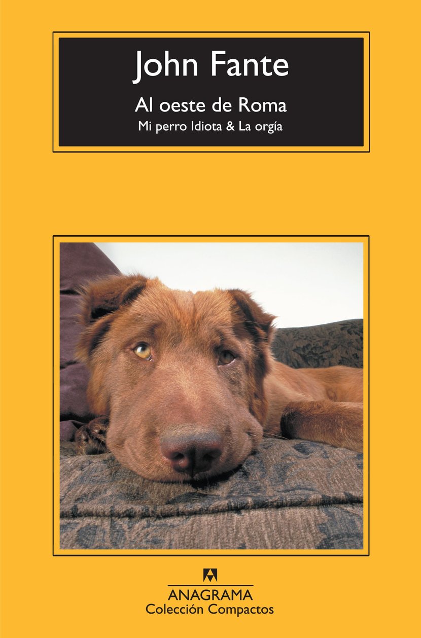 media/pim/35_standalone-image-1783688.jpg