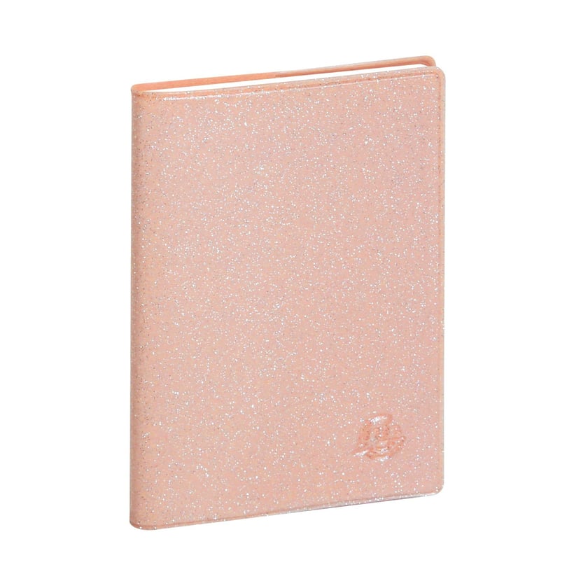 Agenda scolaire semainier 2023/2024 - Iderama - 9 x 13 cm - Exacompta -  Rose - Agendas Semainier - Agendas - Calendriers