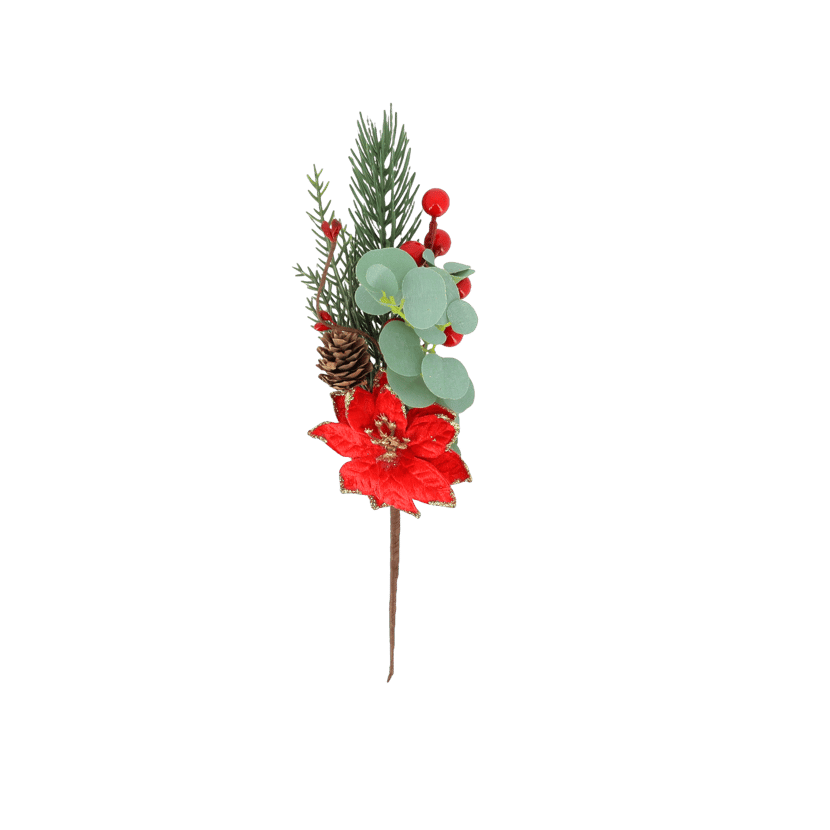 media/pim/3666735051143_1.png