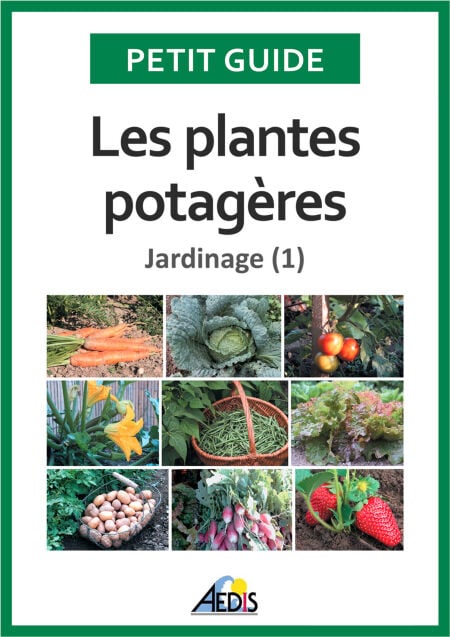 media/pim/36_146f30d6-45f5-4415-8de7-c60b073420ae.jpeg