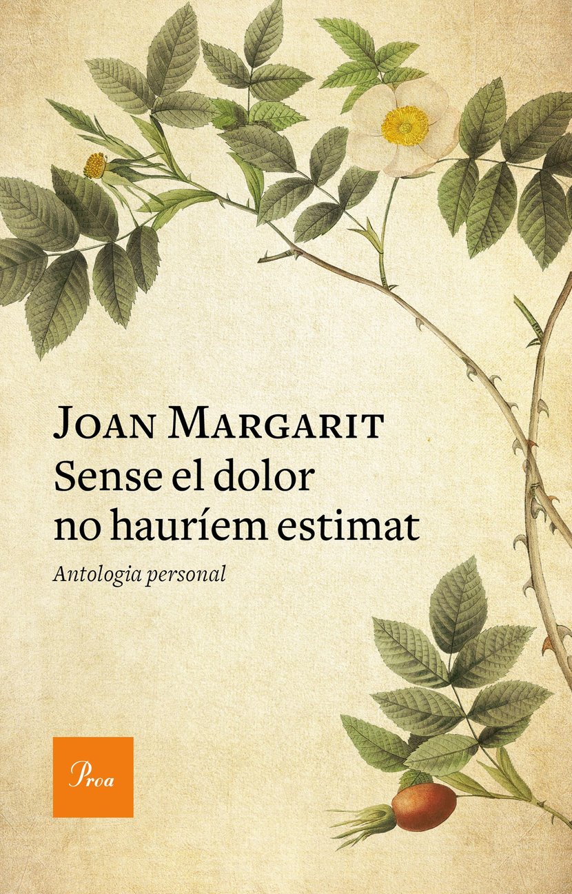 media/pim/36_metadata-image-66233823.jpeg