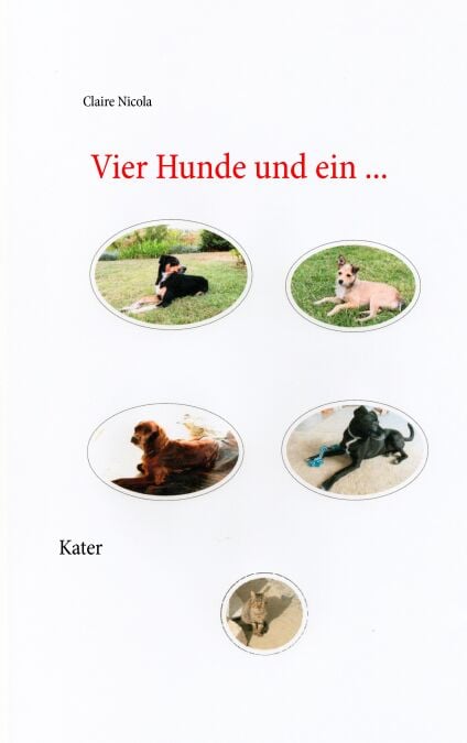 media/pim/36_metadata-image-70969250.jpeg