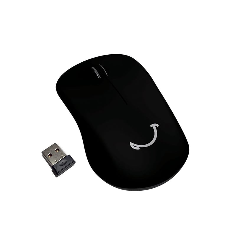 Souris ergonomique sans fil nano USB rechargeable noire - Achat