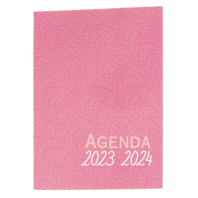 L'agenda budget ultra simple : de septembre. 2022 à décembre 2023 -  Collectif - Play Bac - Papeterie / Coloriage - Librairie Gallimard PARIS