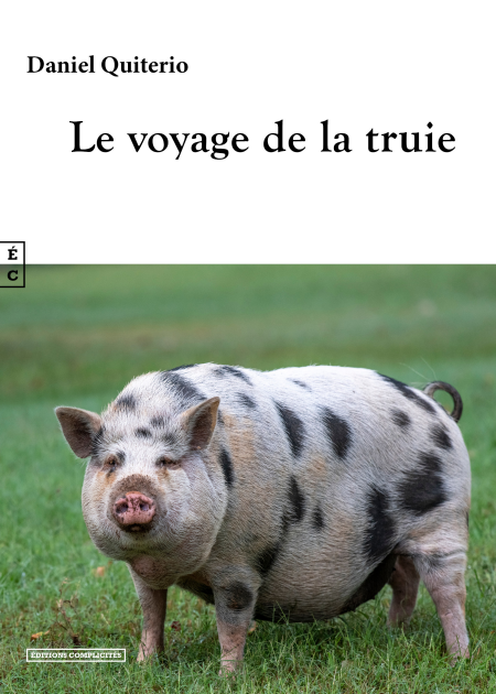 media/pim/37_42a6f254-03a2-4ade-9f36-63c24b6770a3.jpeg