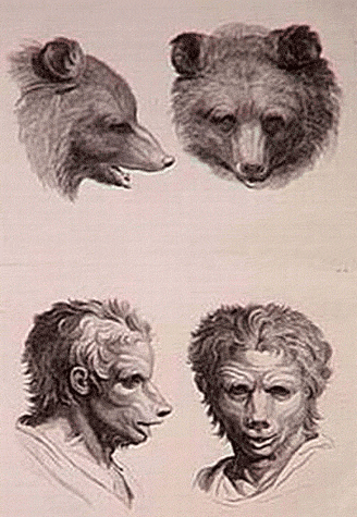 media/pim/37_metadata-image-11048513.gif