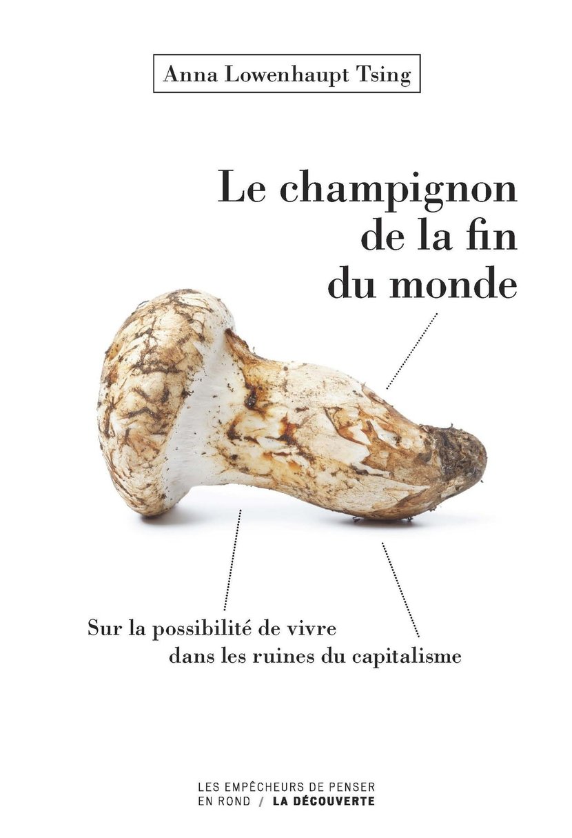 media/pim/37_metadata-image-13627371.jpeg