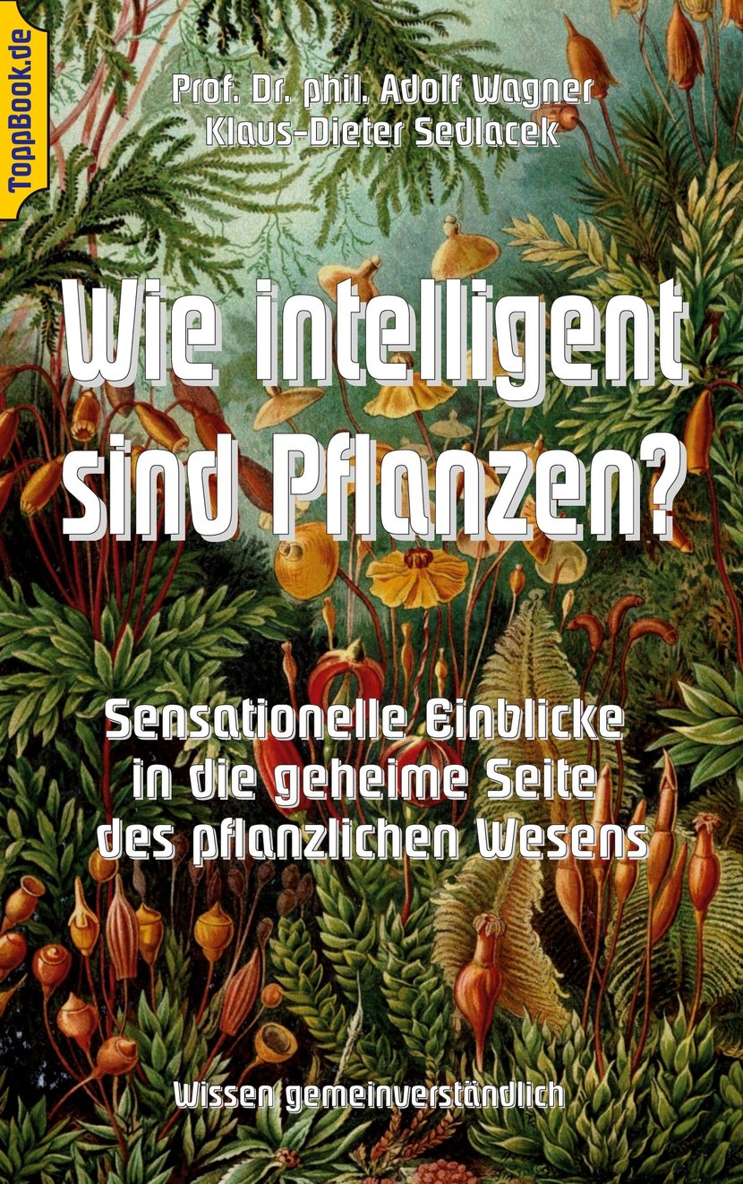 media/pim/37_metadata-image-48467317.jpeg