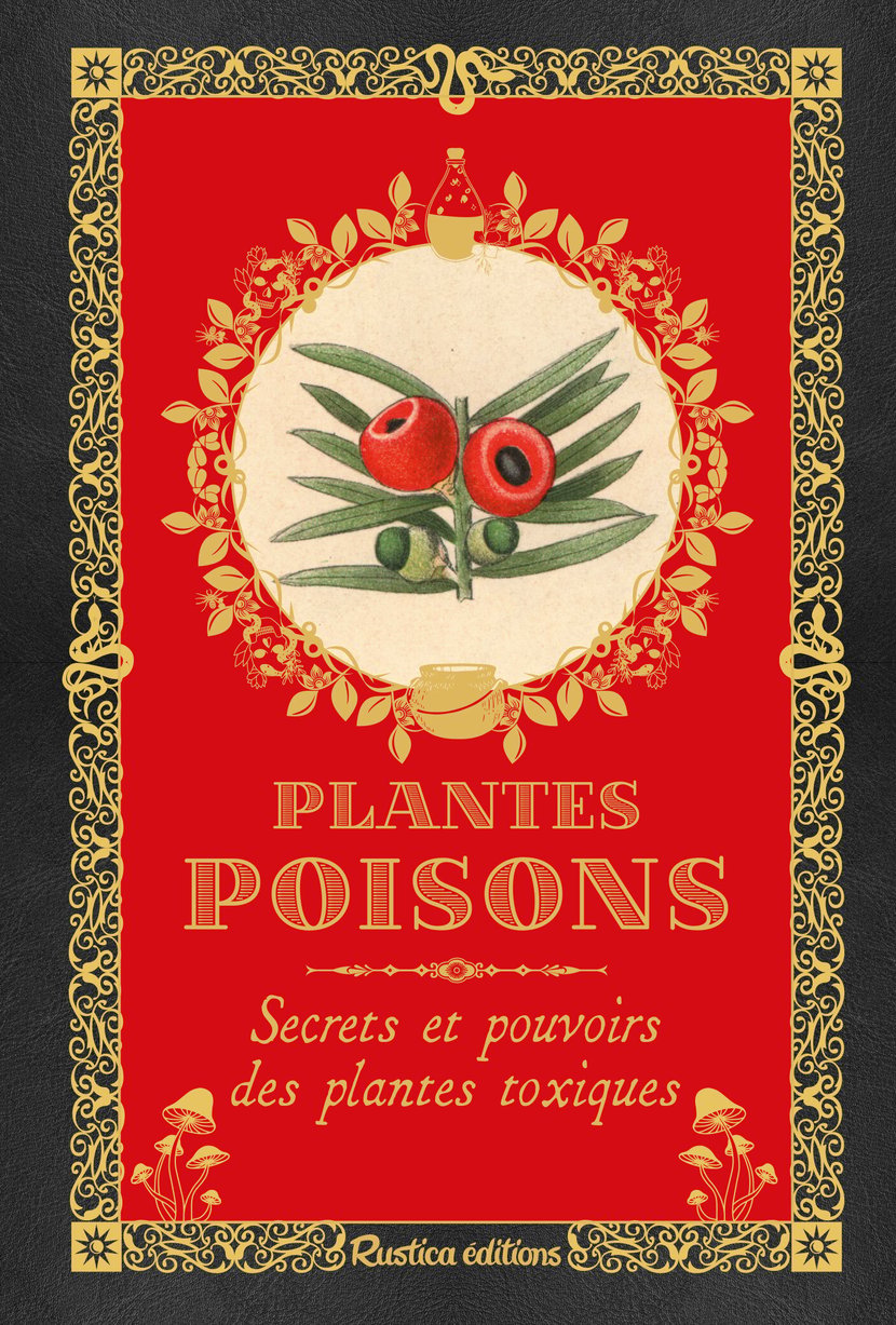 media/pim/3897376_image_type_product_shot_FOUR_non_TRANSCODE_1_FR_42081