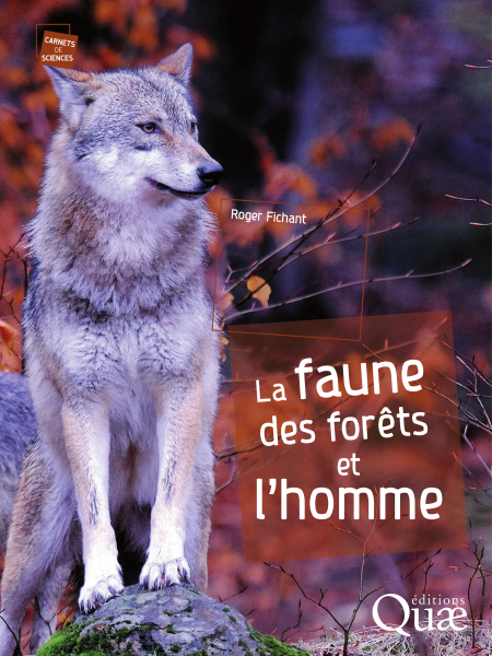 media/pim/38_26f545fc-12b6-4920-8dde-d9382564511d.jpeg