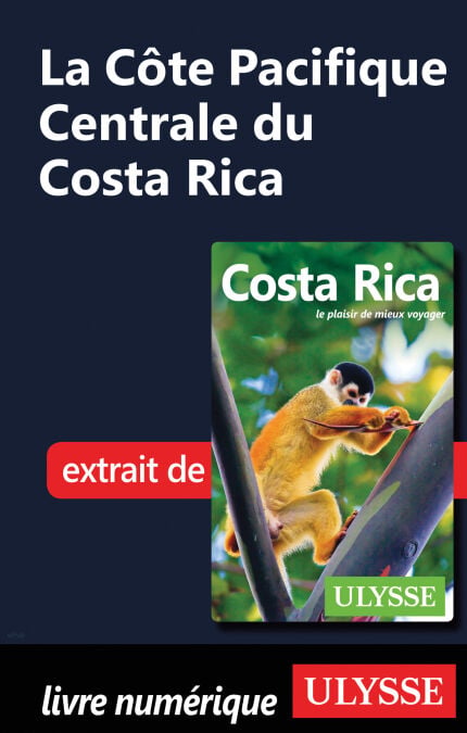 media/pim/38_3db4a5c6-63f4-4b65-b33b-0a6195281643.jpeg