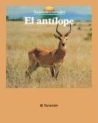 media/pim/38_metadata-image-67318775.jpeg